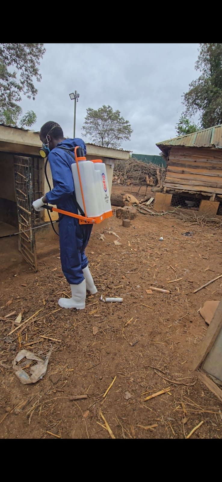 Fumigation of Household Pests — Posh & Allied job photo